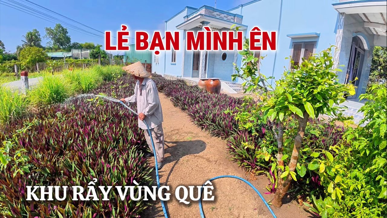 Cảnh Đường Hủ Tiếu Ngày Nay | Bà Con Ở Quê Nét Chân Tình Như Vậy Đó .