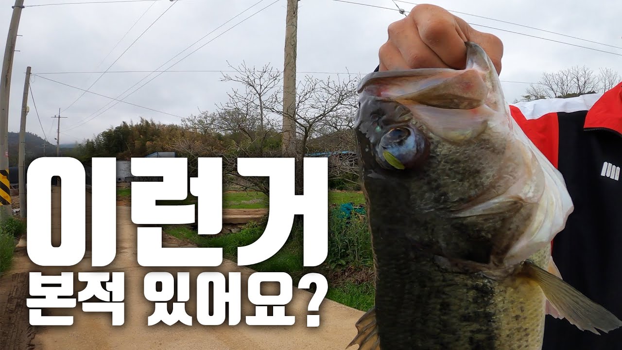 낚시 인생 10년만에 처음 겪는 놀라운 순간