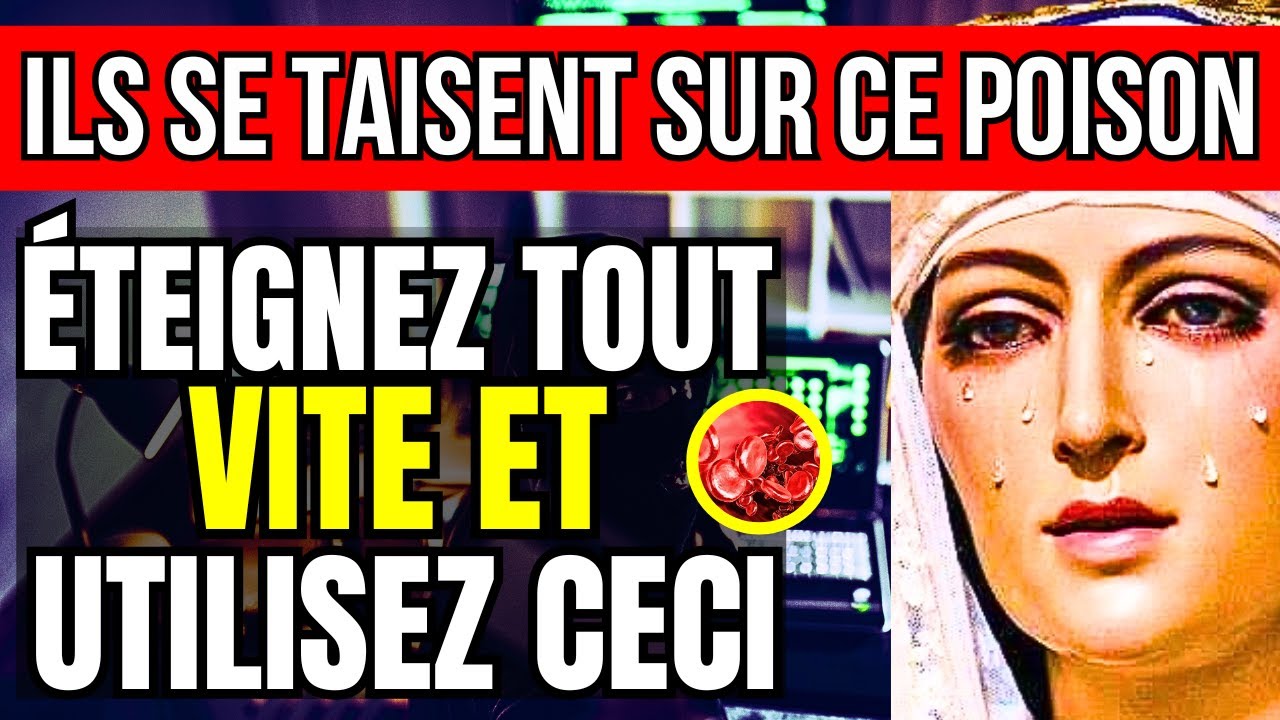 Révélations divines à Luz de Maria : MESSAGE PUISSANT | Sagesse de Saint Michel et  la Vierge Marie