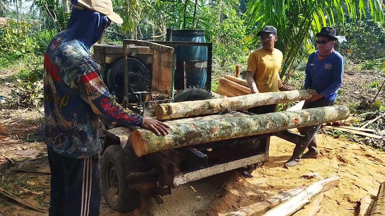 Gesek kayu jati, malah lupa ngencengin baut graji