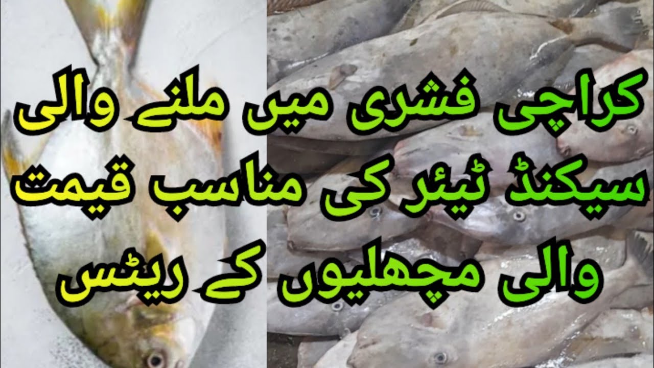 Karachi Fishrey || Second Tier Fish || Informative video || Latest Rates