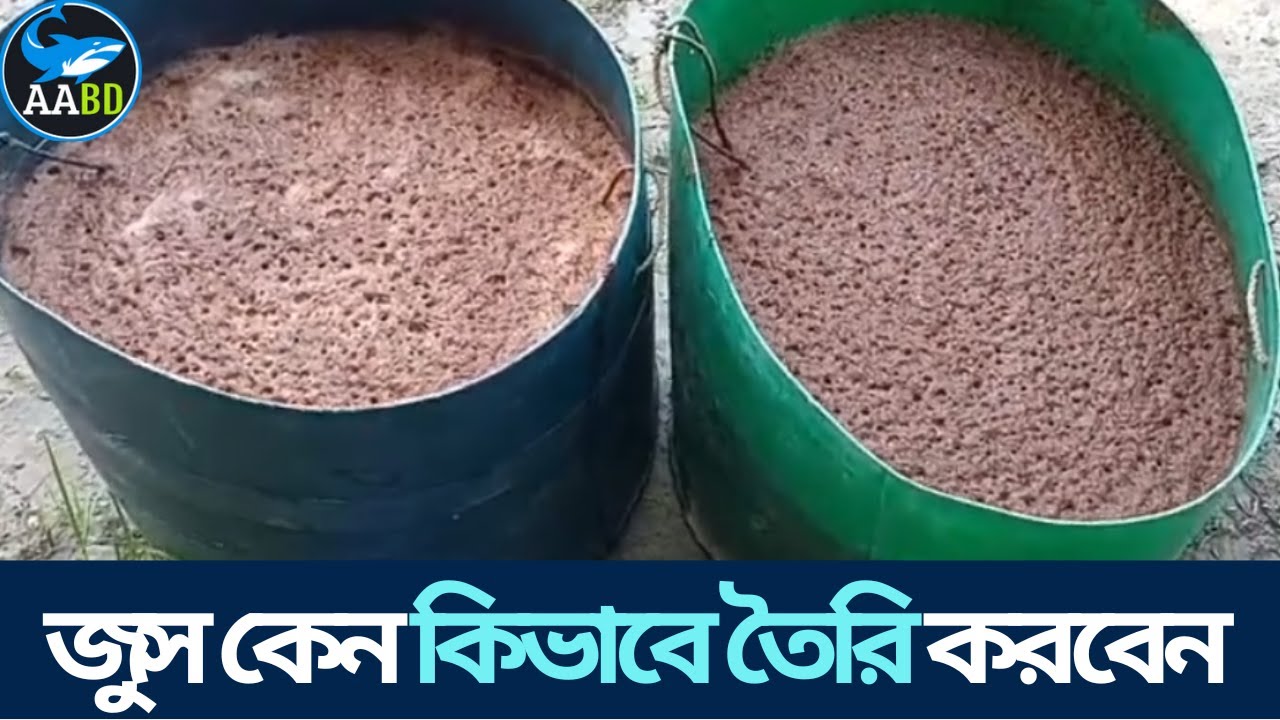 প্রিবায়টিক্স বা জুস কিভাবে তৈরি করবেন মাছচাষে জুস কি কি কাজ করে (Function of Juce In Aquaculture)