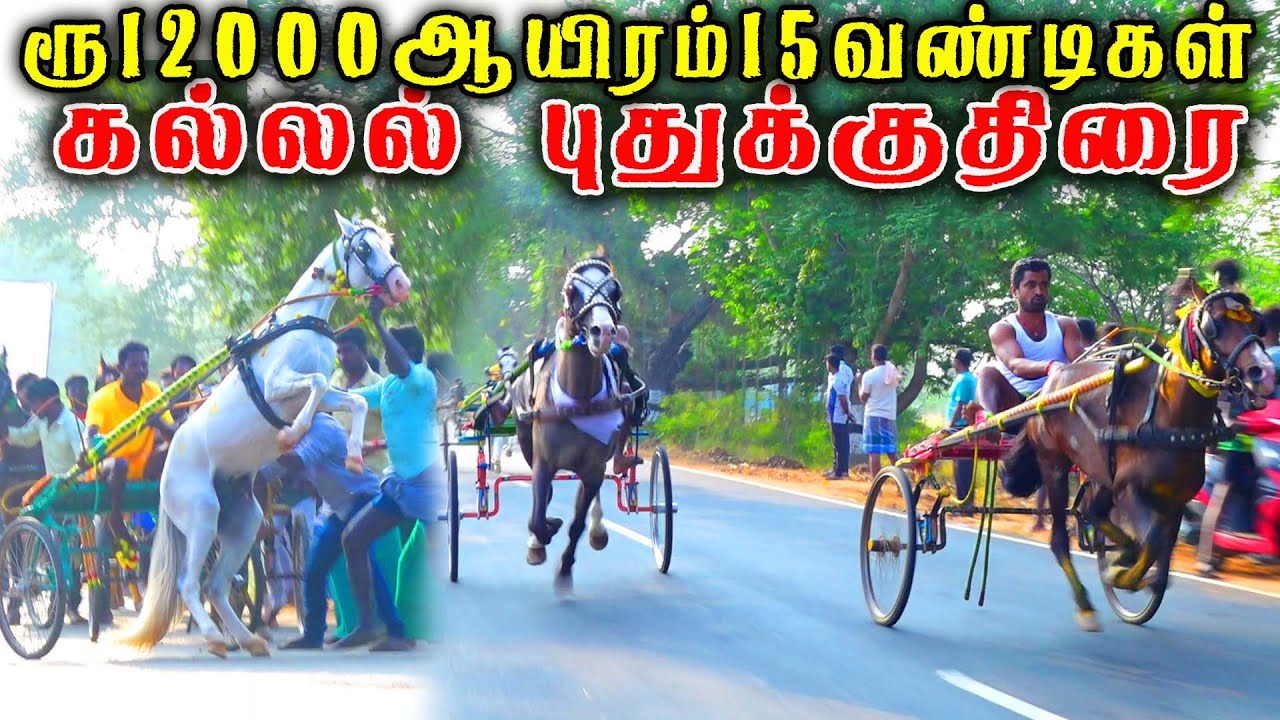கல்லல் புதுக்குதிரை பந்தயம்
