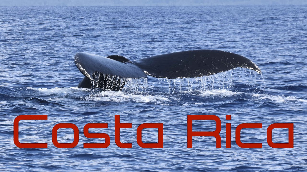Costa Rica:  overzicht gehele rondreis.