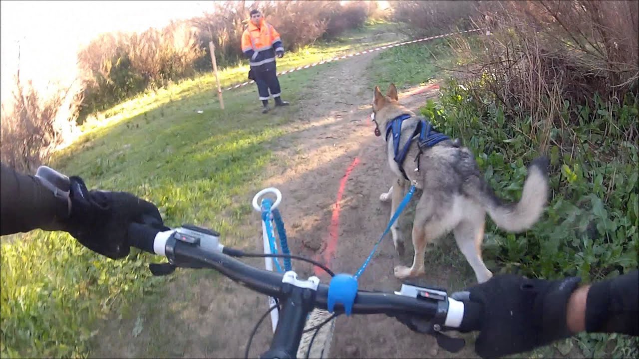 BIKEJORING VILLAMARTIN