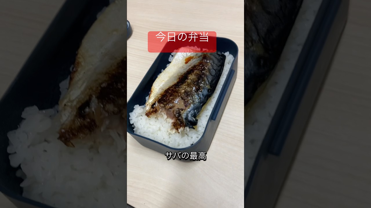 鯖最高！！（弁当）107日目