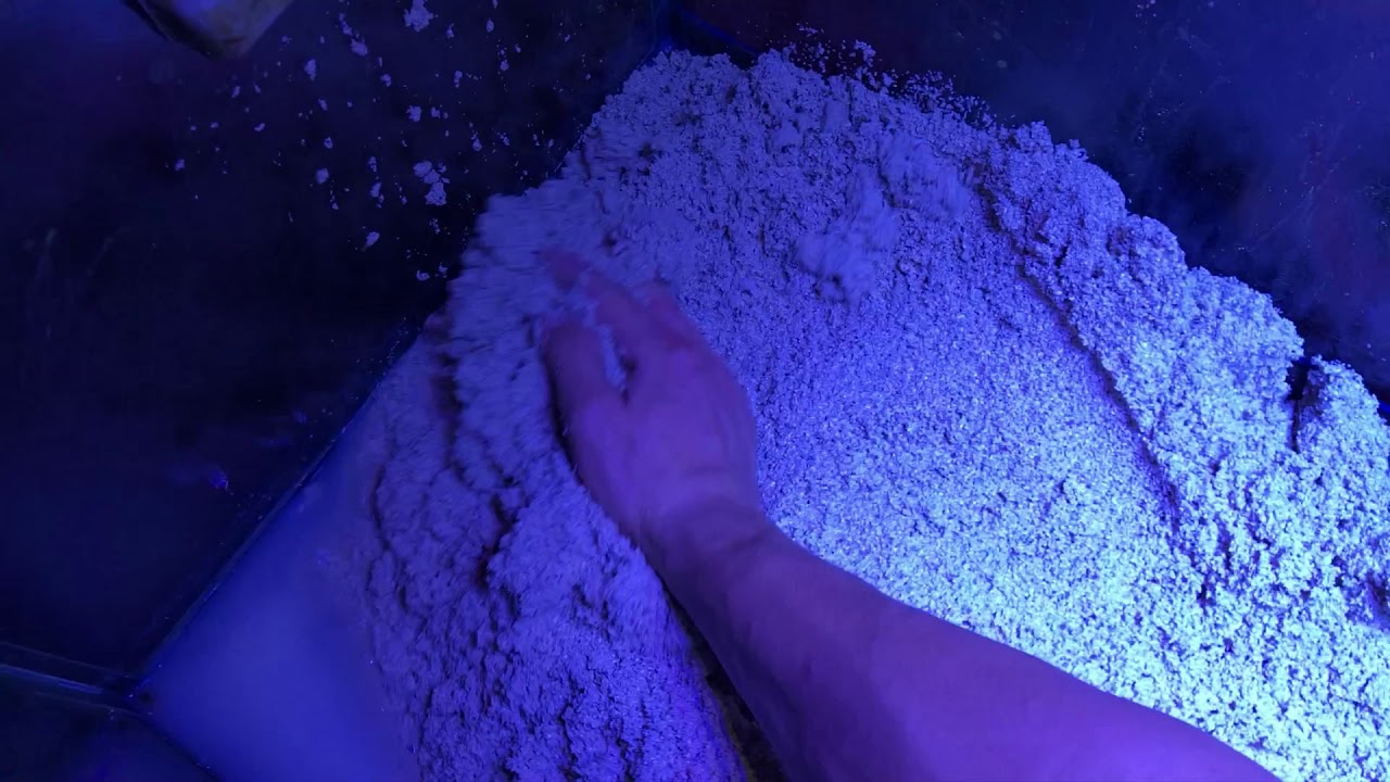 Changing Reef Tank Gravel to Sand