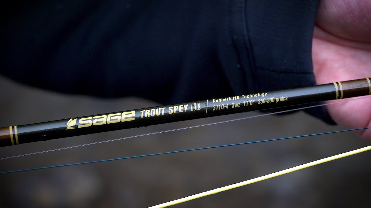 Sage 11'0