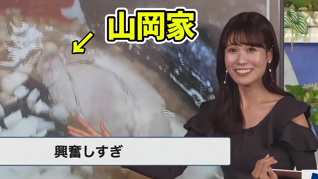 【店員かよ】急に早口で山岡家の解説を始めるラーメン大好きお天気お姉さんw【戸北美月】プレミアム醤油豚骨