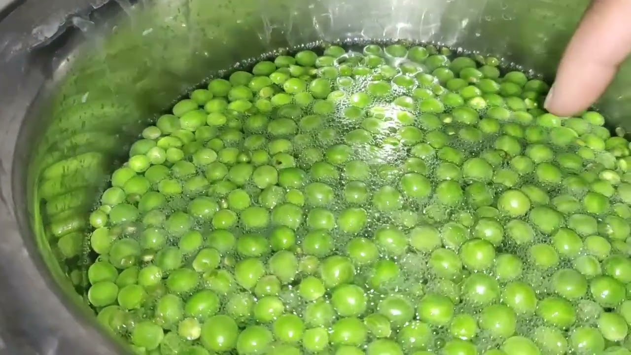 How to Boil Matar Perfectly | Soft & Fresh Green Peas