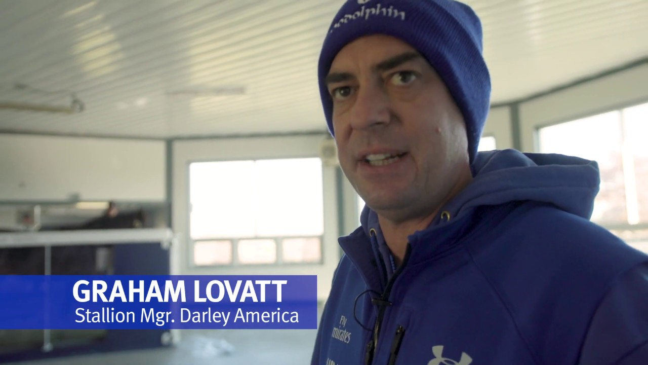 Aqua Treadmill at Jonabell Farm