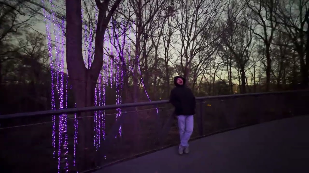 Christmas Lights at Botanical Garden