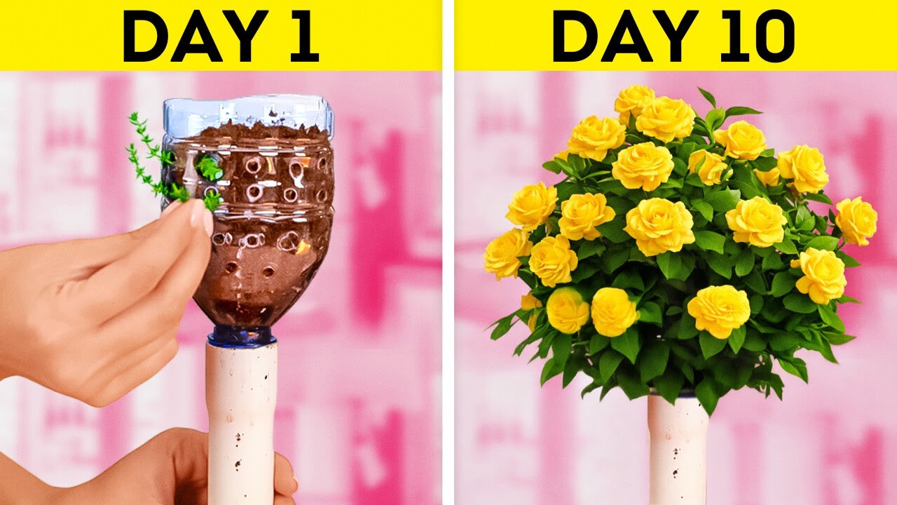 How to Grow Flowers Like a Pro (Even If You’re a Beginner) 🌸🌱