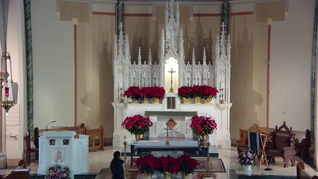 Thursday Noon Mass