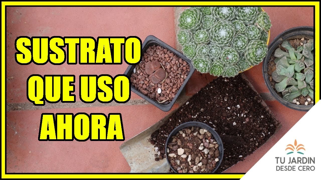 ✅ Un SUSTRATO para Suculentas en general y OTRO para Lithops (que uso actualmente)🌱