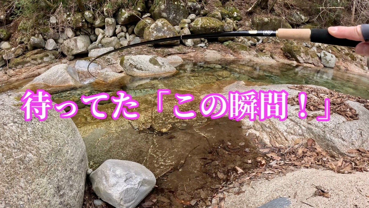 テンカラ開幕！今年もこの季節がやってきた