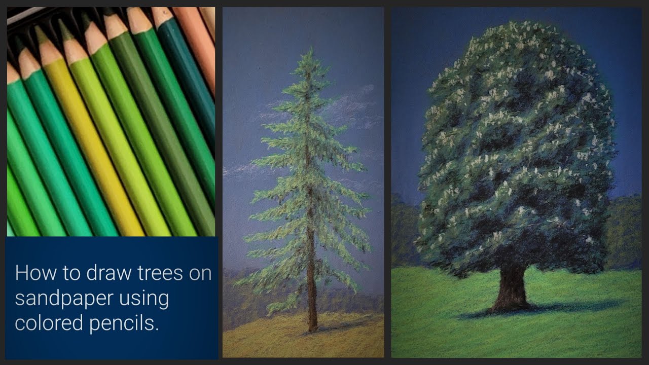 How To Draw Trees On Sandpaper Using Colored Pencils