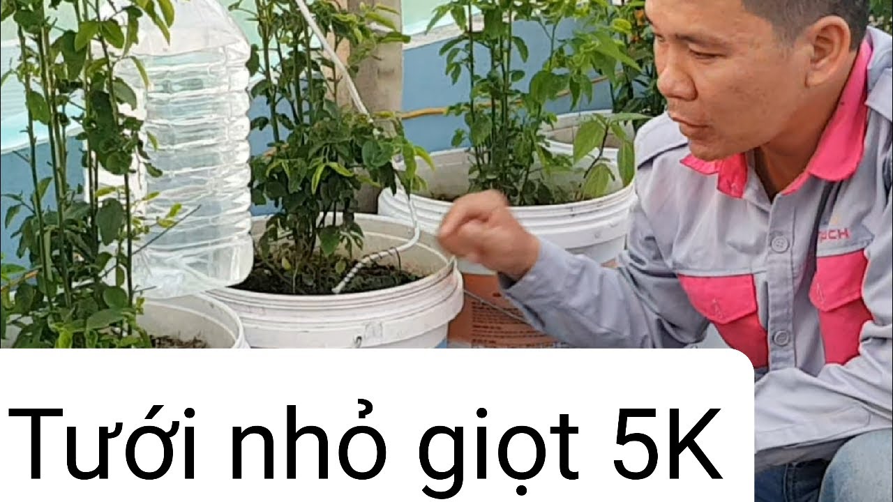 Tự làm hệ thống tưới nhỏ giọt hết 5K