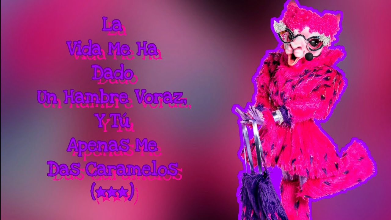Llama Performance 
