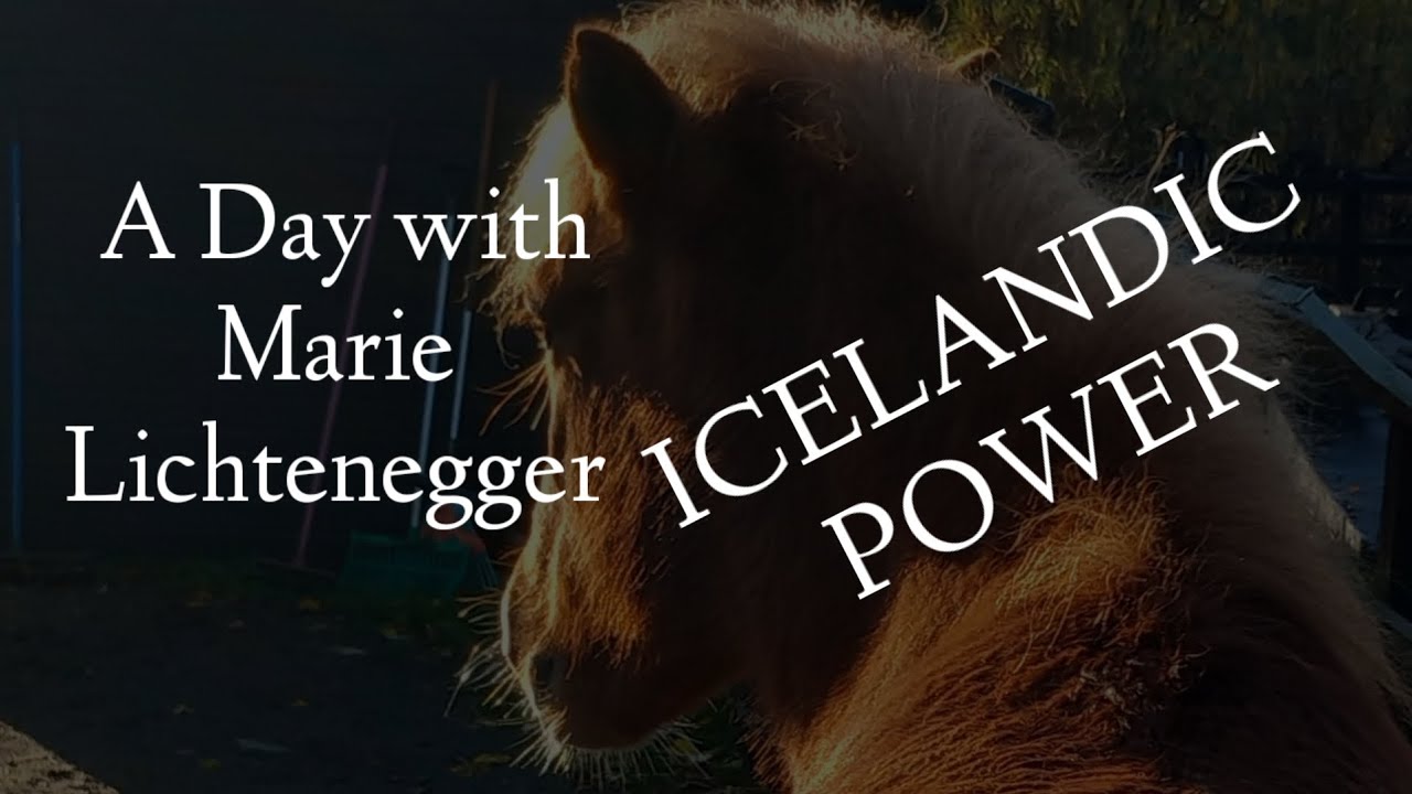 Horses Reflect ICELANDIC POWER 