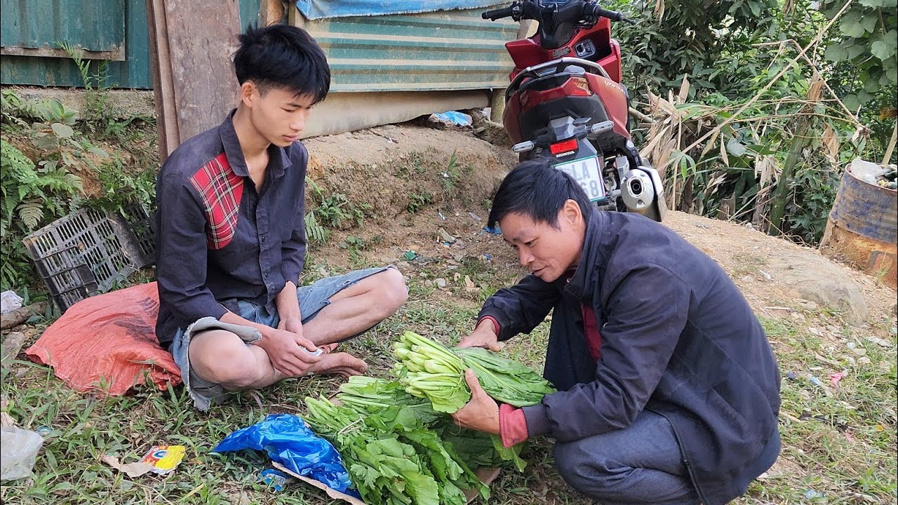 Homeless boy harvests vegetables after 3 months of planting and caring - Homeless Boy VN