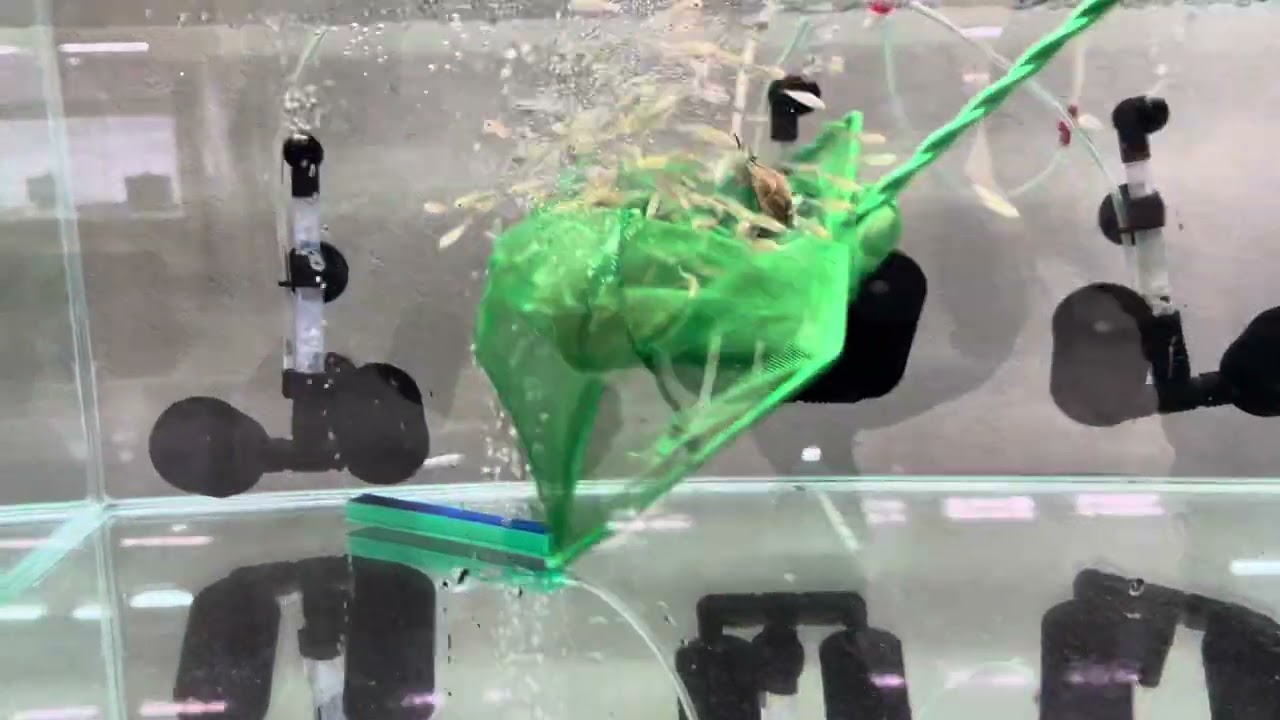 Endonezya ithalatı 22/03/2025