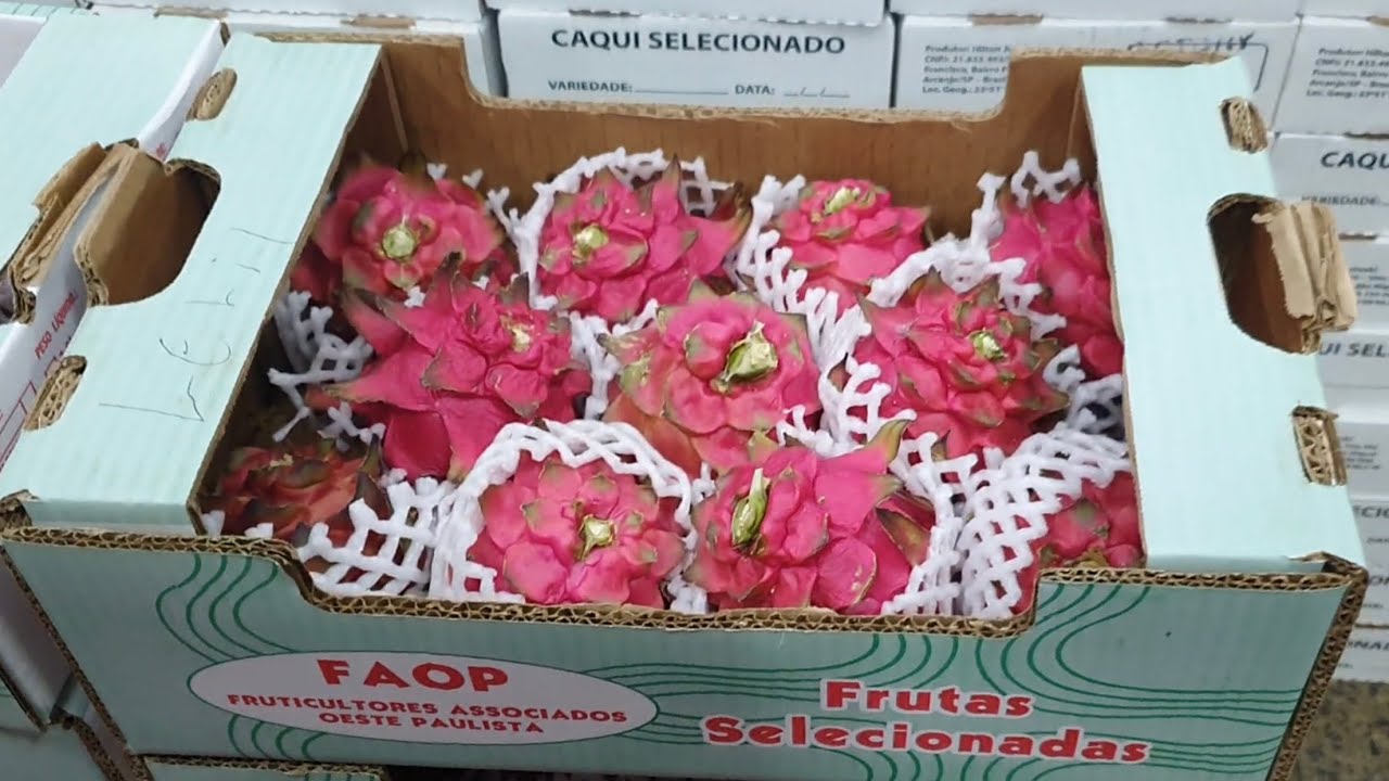 85) Comércio de Pitayas, de norte a sul, no CEAGESP.