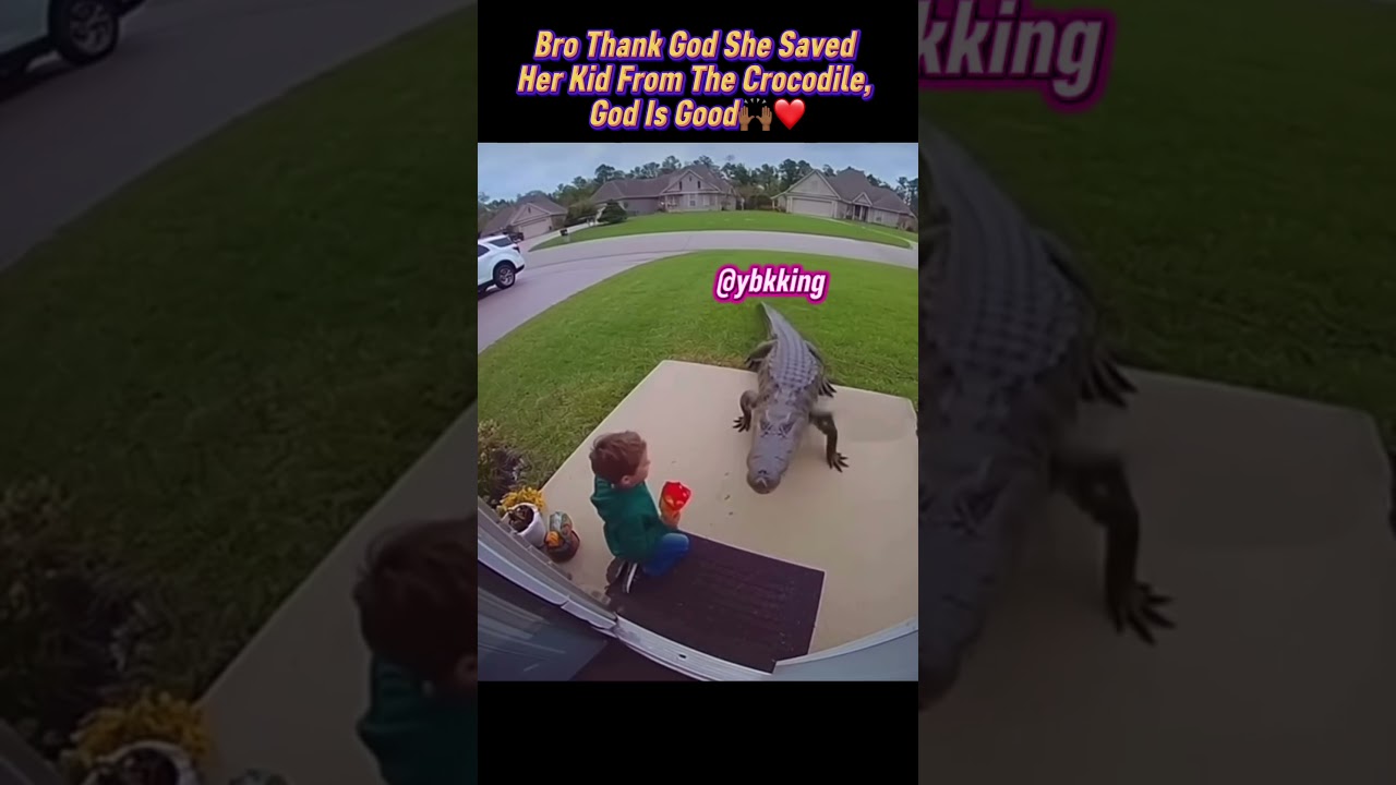 Bro Thank God She Saved Her Kid From The Crocodile, God Is Good🙌🏾❤️