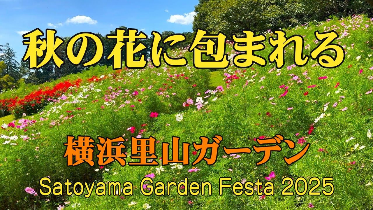 【神奈川・横浜】秋色の花に包まれる 🌸 里山ガーデン/Embraced by Autumn Colors – Satoyama Garden/日本の美しい発見@yasu-discover