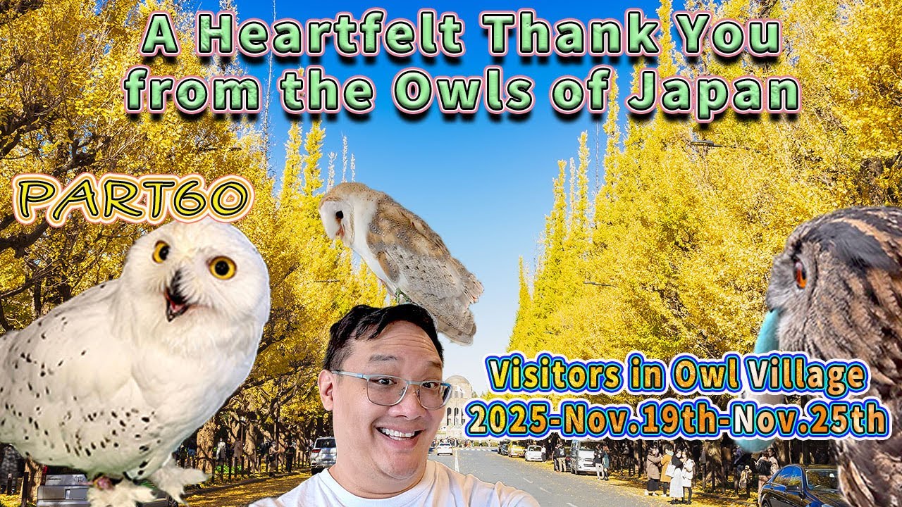 Thank You Guests – Owl Café Harajuku Memories (Nov 19–25, 2025) 🦉✨ #OwlVillage