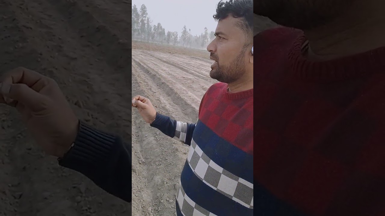 गन्ने के साथसहफसली#सही_जानकारी #सहफसली 