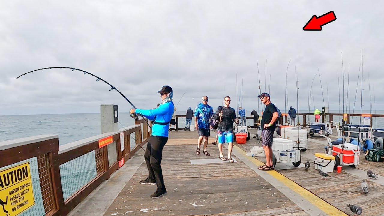 Fish of a Lifetime Caught from the Gulf Pier!