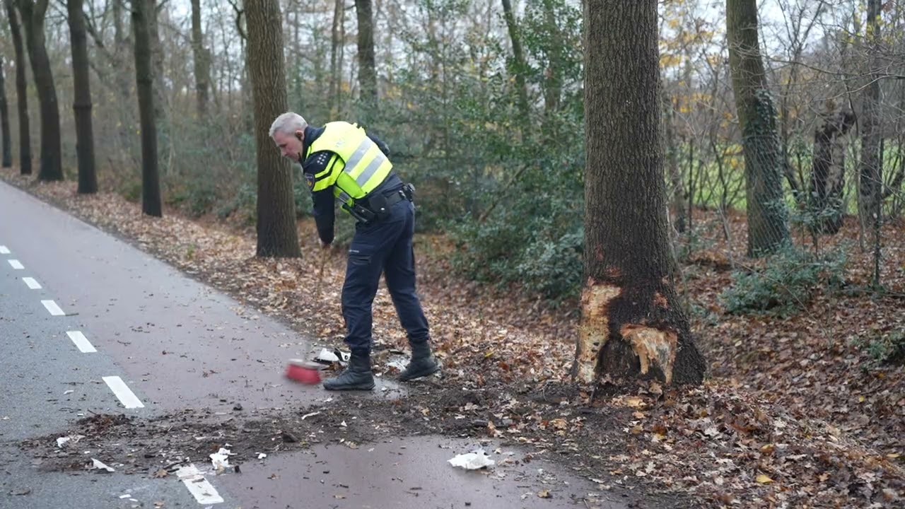 Auto boom Kegelaar Kaatsheuvel 8-12-2025
