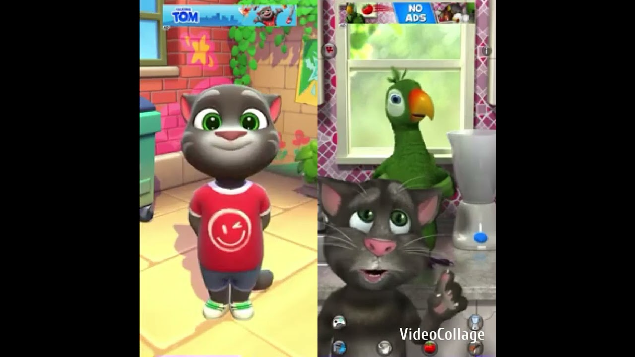 Talking Tom Cat 2025 vs Talking Pierre The Parrot Gameplay