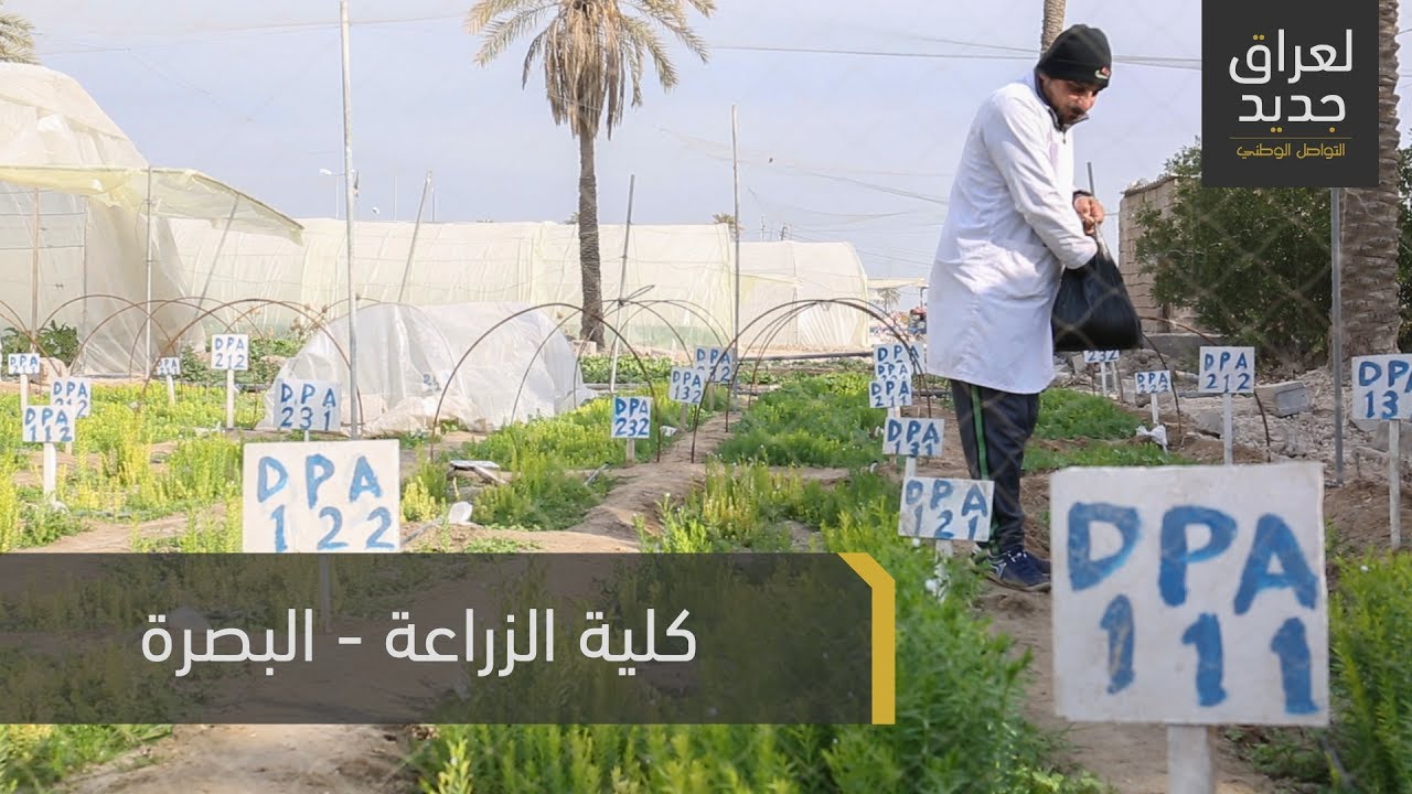 كلية الزراعة - البصرة