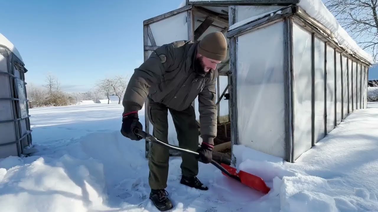 From Snowy Forest to Greenhouse