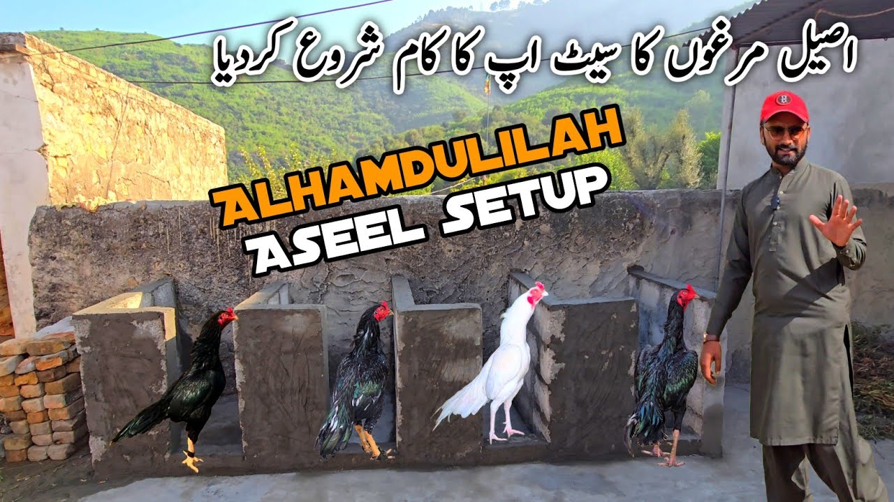 Aseel Murgo K Setup Ka Kam Start MB Vlogs 
