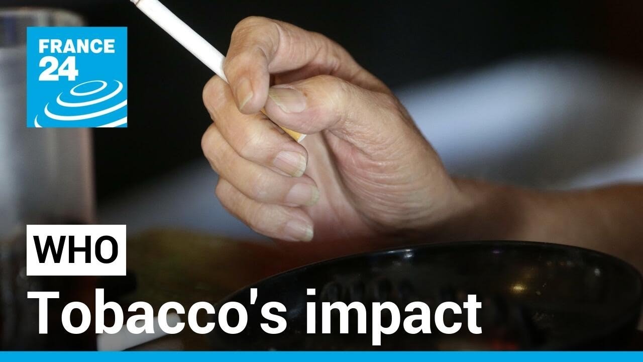 WHO: Tobacco's environmental impact is devastating • FRANCE 24 English