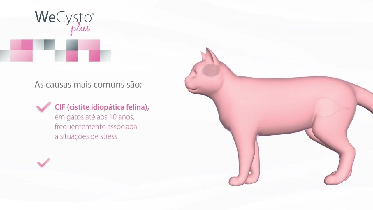 Wepharm | WeCysto Plus
