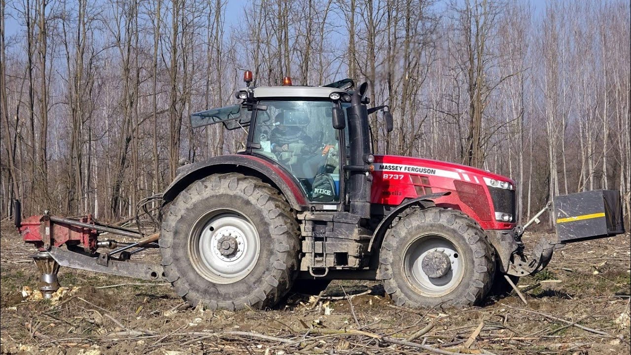 Massey Ferguson 8737 | Trivellaceppi Rotor