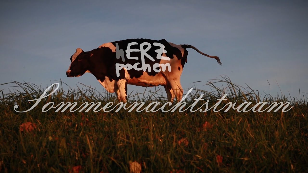 Sommernachtstraam - hERZpochen
