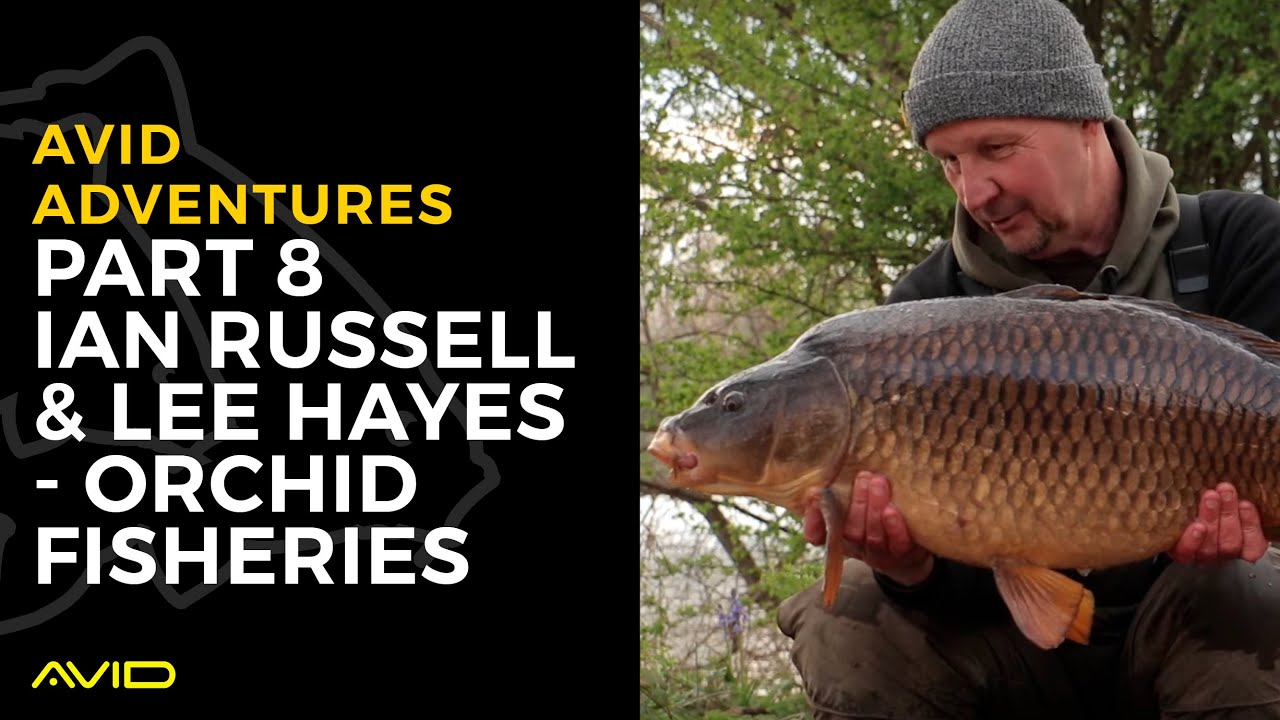 Avid Carp Fishing TV! | Avid Adventures | Vol.08 | Orchid Lake