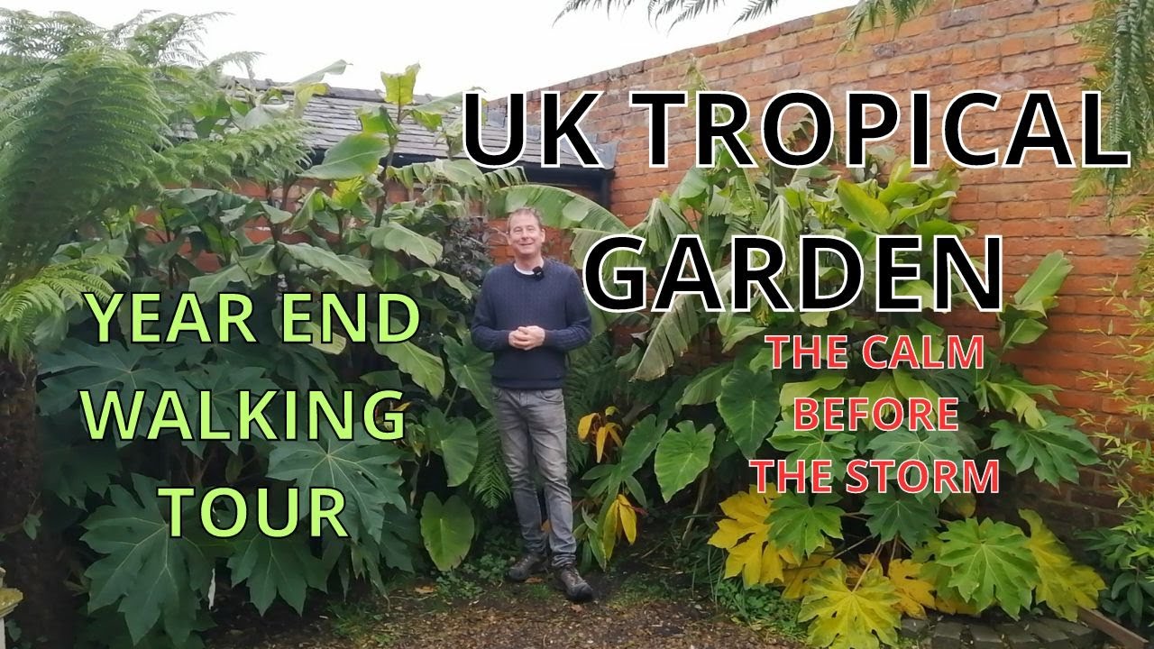 UK Exotic Tropical Jungle Garden Walking Tour. Gardens and Gardening.