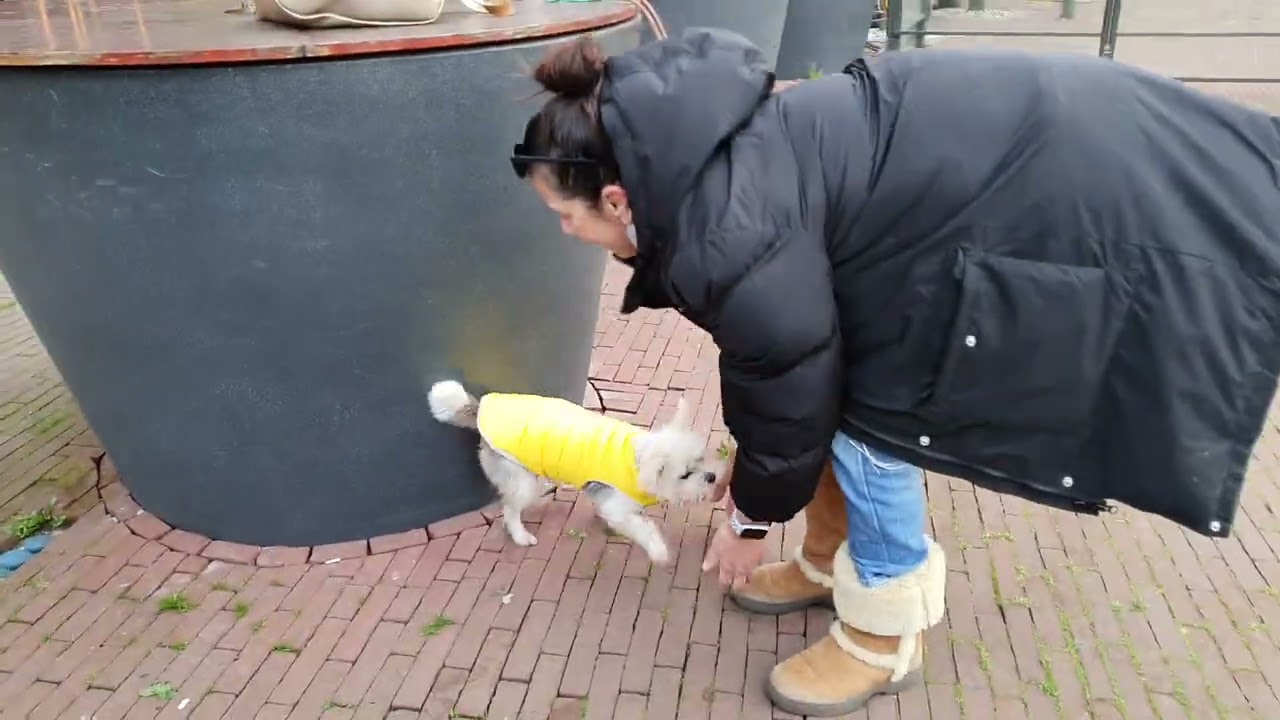 Zoe vangt bal Heinekenplein Amsterdam november 2021