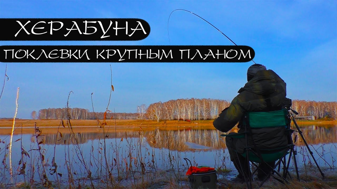 ЛЕДЯНОЙ КАРАСЬ. Лучшее тесто для холодной воды.
