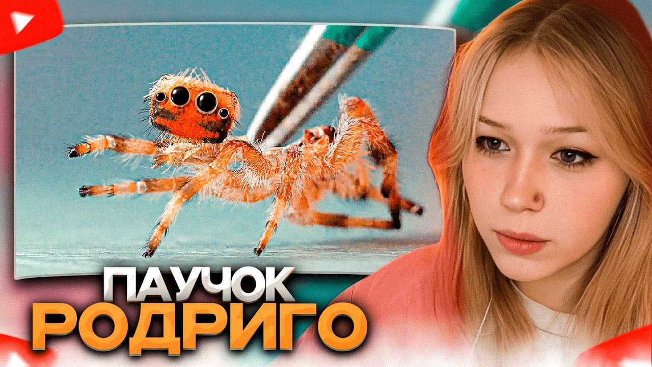 МОРФИ СМОТРИТ: ЧТО-ТО ПРОИЗОШЛО С ПАУКОМ РОДРИГО // SlivkiShow