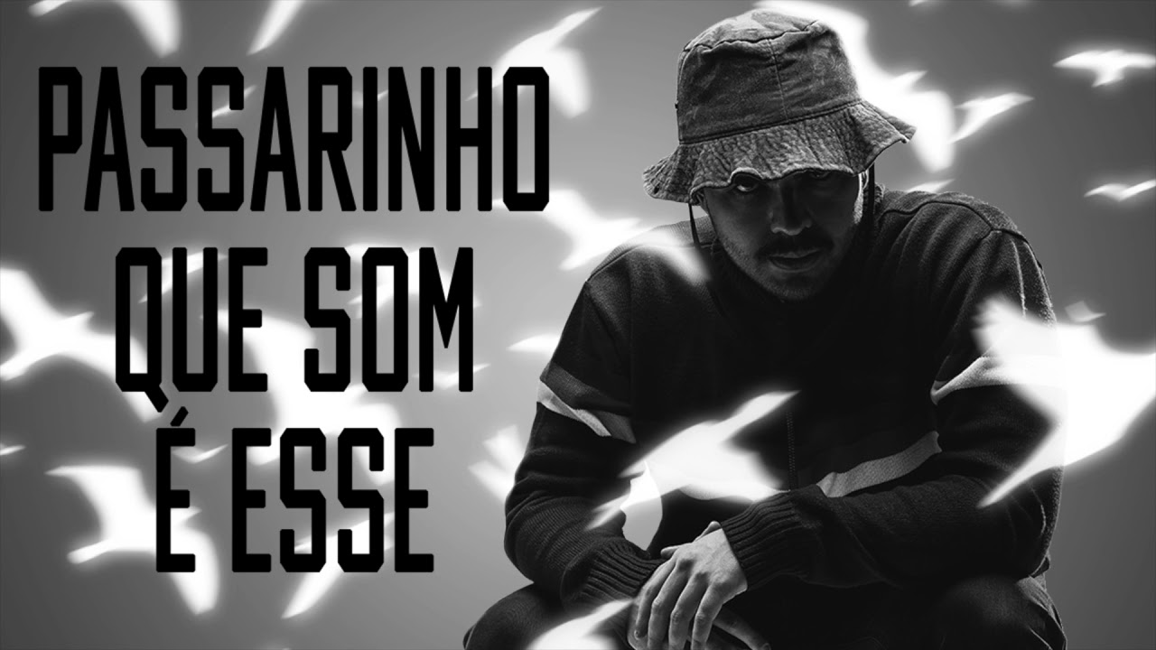 DJ TOPO, MC CYCLOPE, MC PR - PASSARINHO QUE SOM &Eacute; ESSE