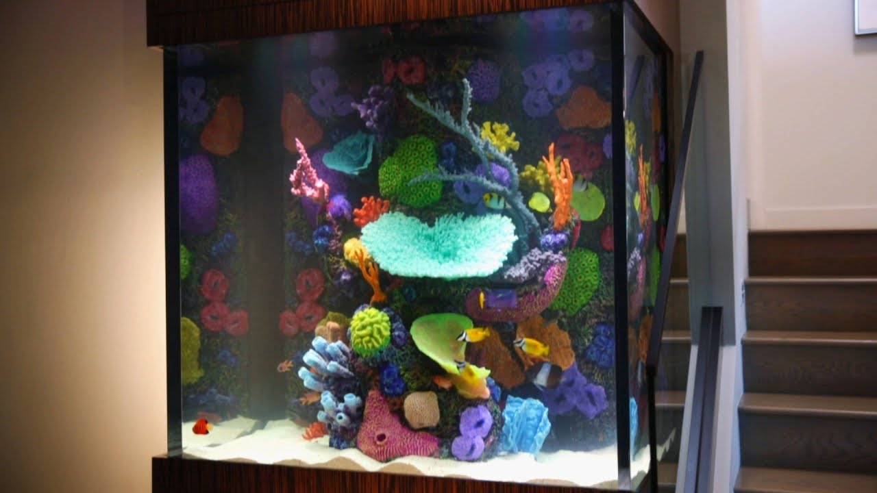 This Fish Tank Is Ludacris! | Tanked
