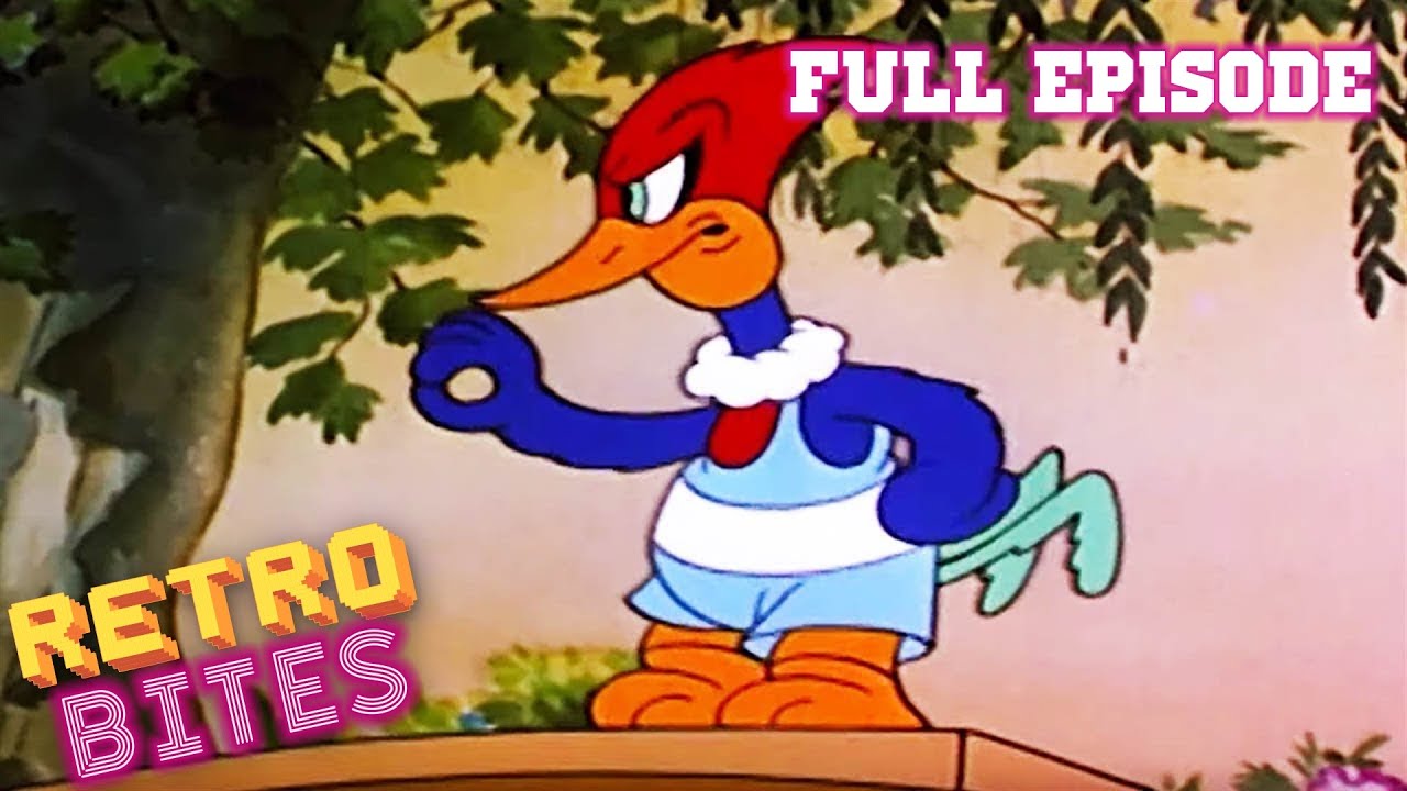 Woody Woodpecker | Wacky Bye Baby | Old Cartoons | Woody Woodpecker Full Episodes