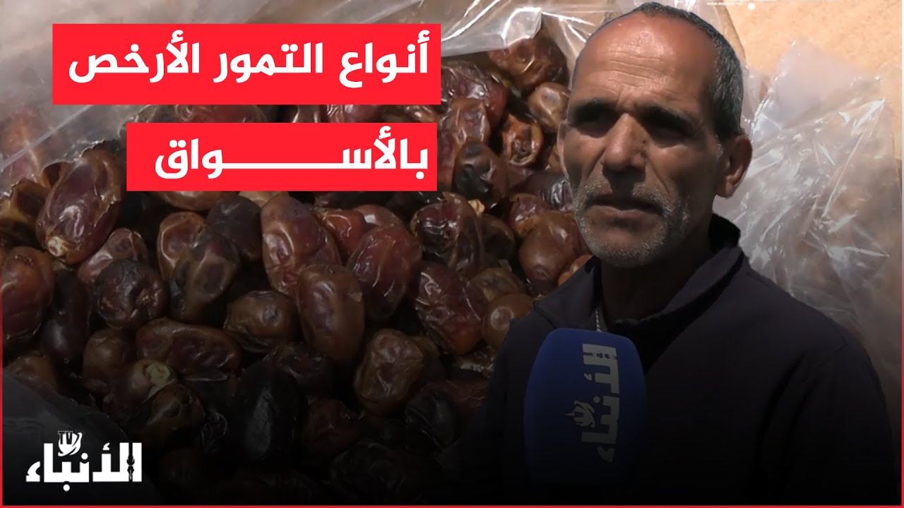 تجار التمور بالجملة يكشفون الأنواع الأرخص بالأسواق